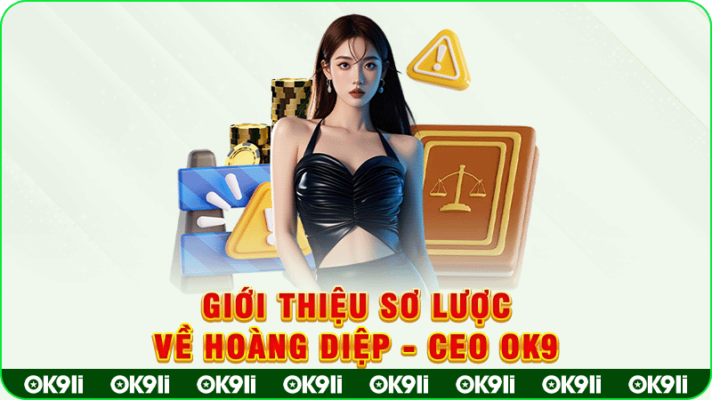 giới thiệu sơ lược về hoàng diệp -ceo ok9